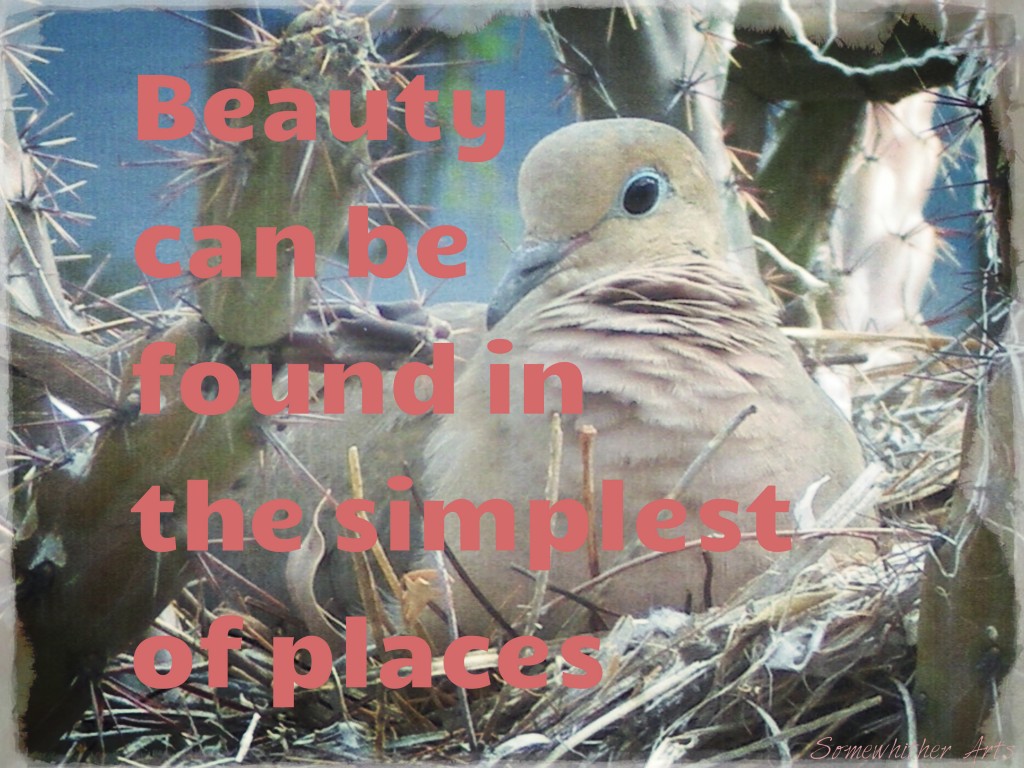 beauty can be found